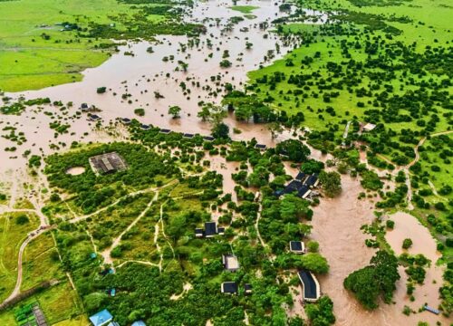 Weather Patterns in the Bush: A Logistical Guide