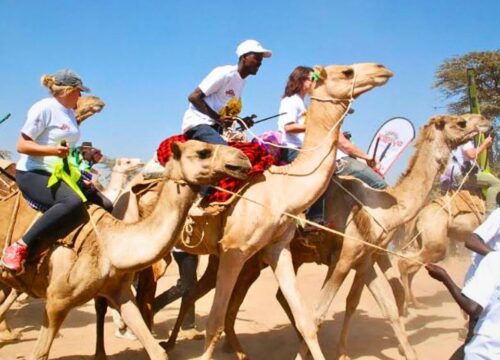 Conservation & Community Festivals: The 2026 Cultural Calendar