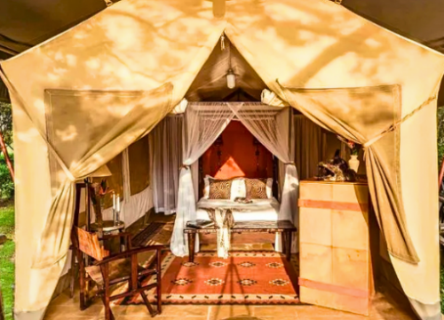 3-Day Masai Mara 4×4 Jeep Budget Safari