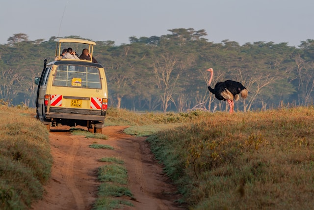 Lake Nakuru 