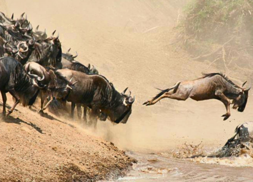 The Great Migration: 2026 Logistical Outlook